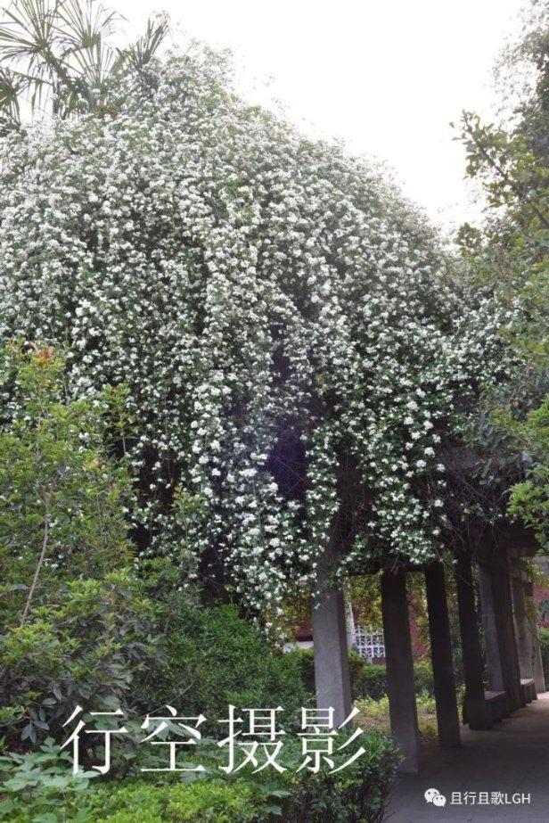 我想找个农业研究的大学生好找吗？以种植合作的方式游戏画面