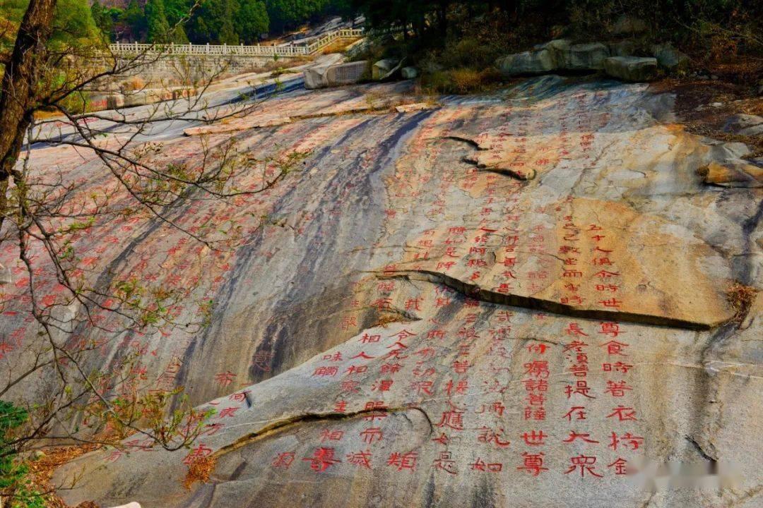 抓实“六个注重” 贡献法治力量