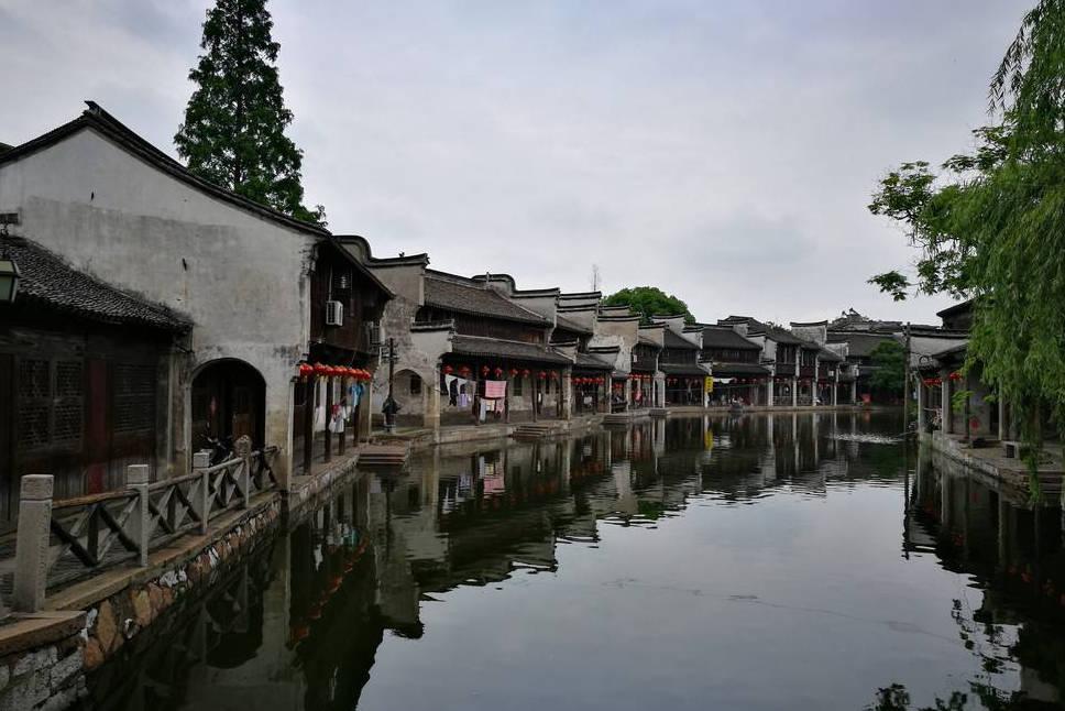 拯救蝙蝠家族