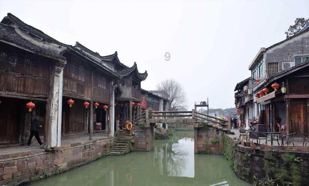 动物帮帮忙保卫家园